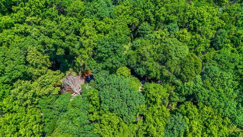 301 County Road 0120 Kerens TX 75144