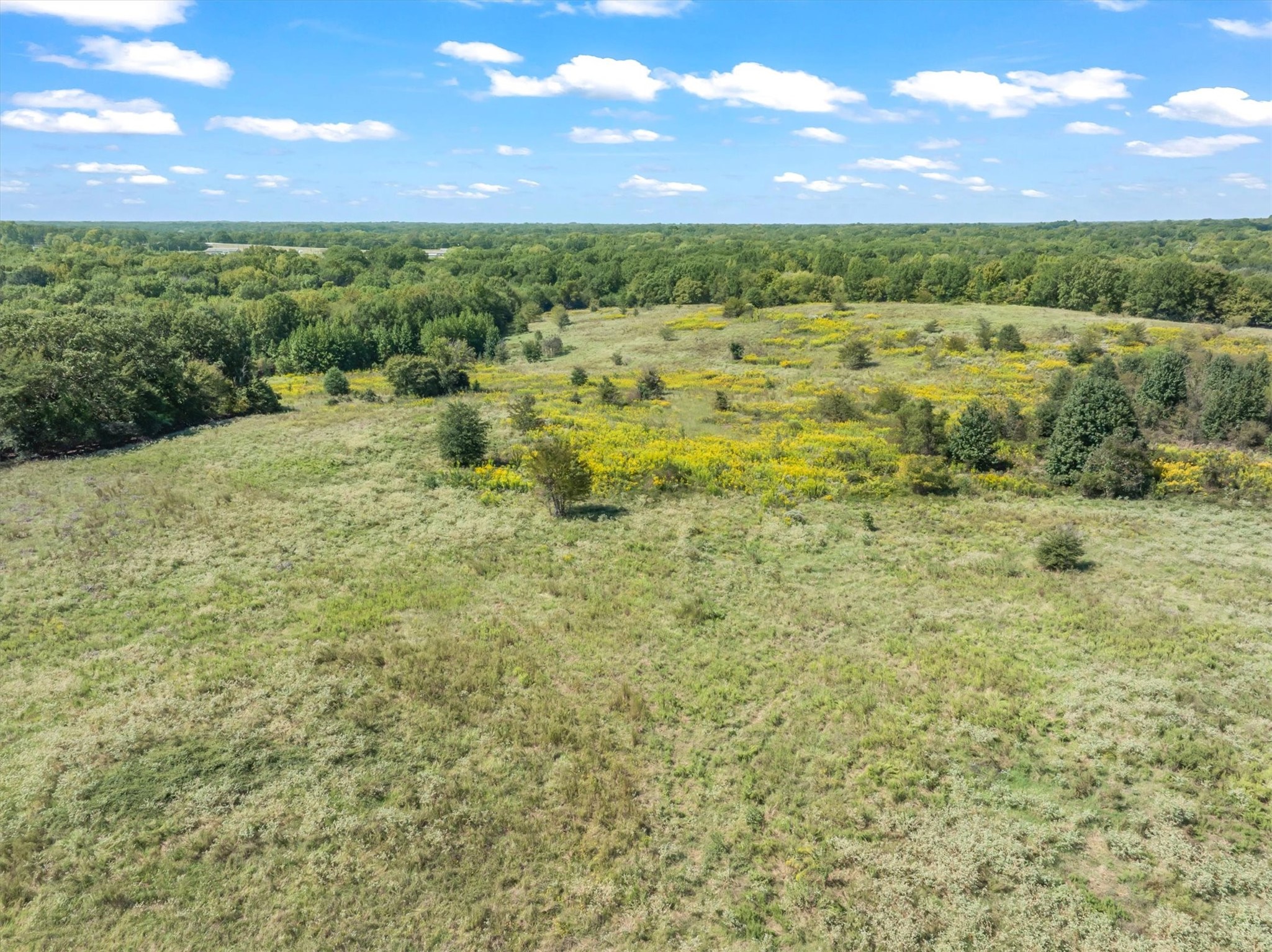 Tbd 34 +/- Vz County Road 1905 Fruitvale TX 75127