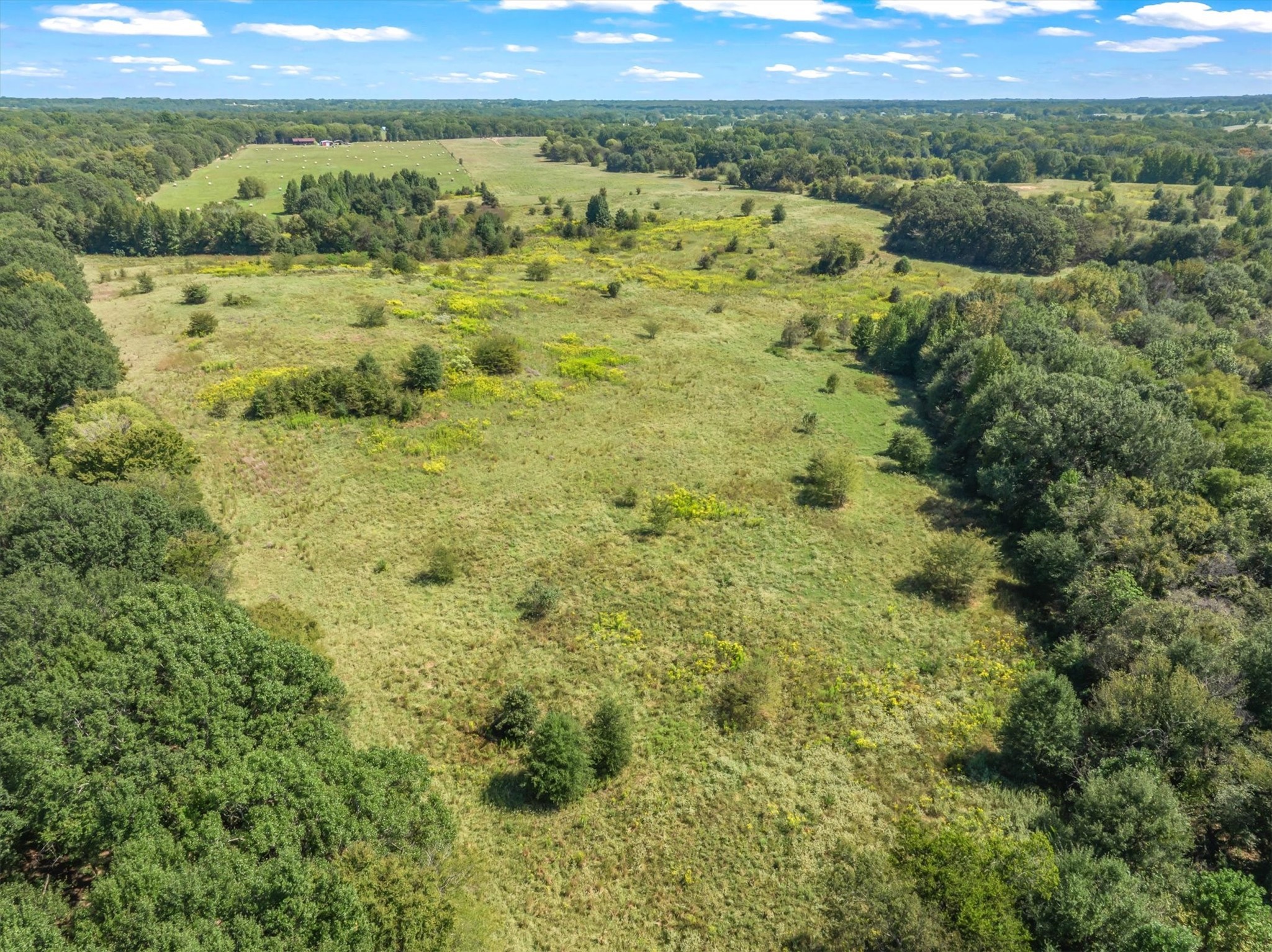 Tbd 34 +/- Vz County Road 1905 Fruitvale TX 75127