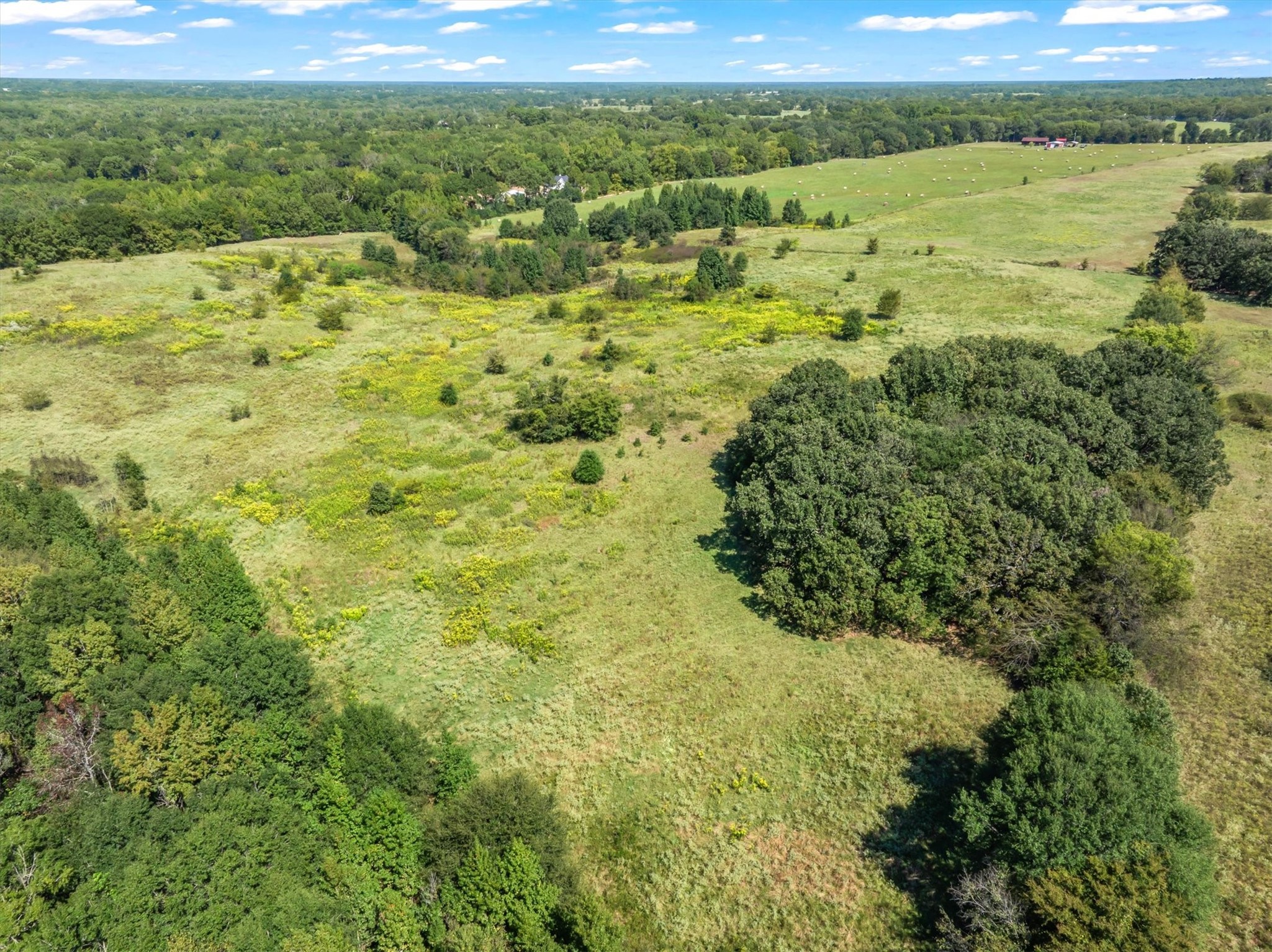Tbd 34 +/- Vz County Road 1905 Fruitvale TX 75127