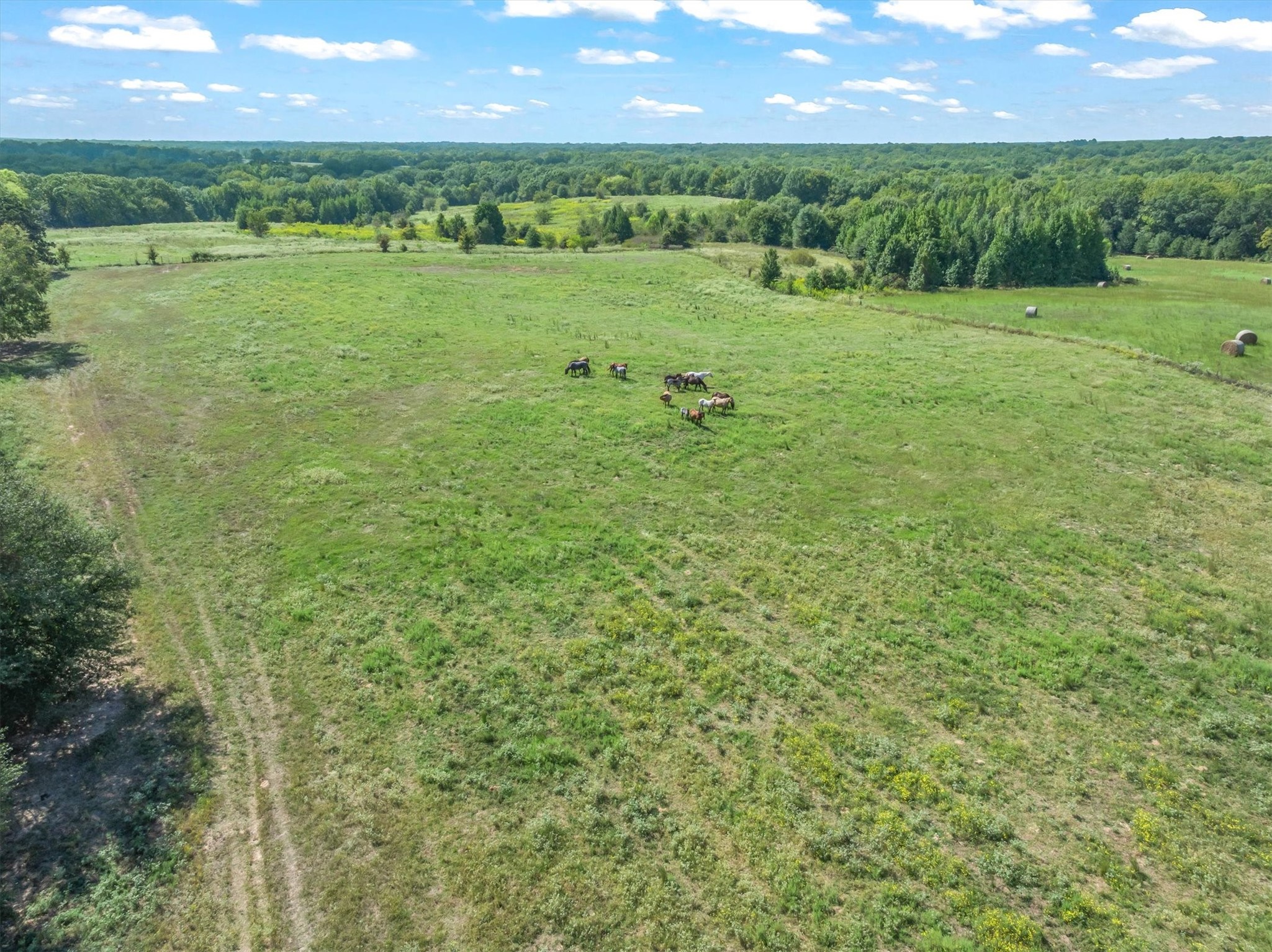 Tbd 34 +/- Vz County Road 1905 Fruitvale TX 75127