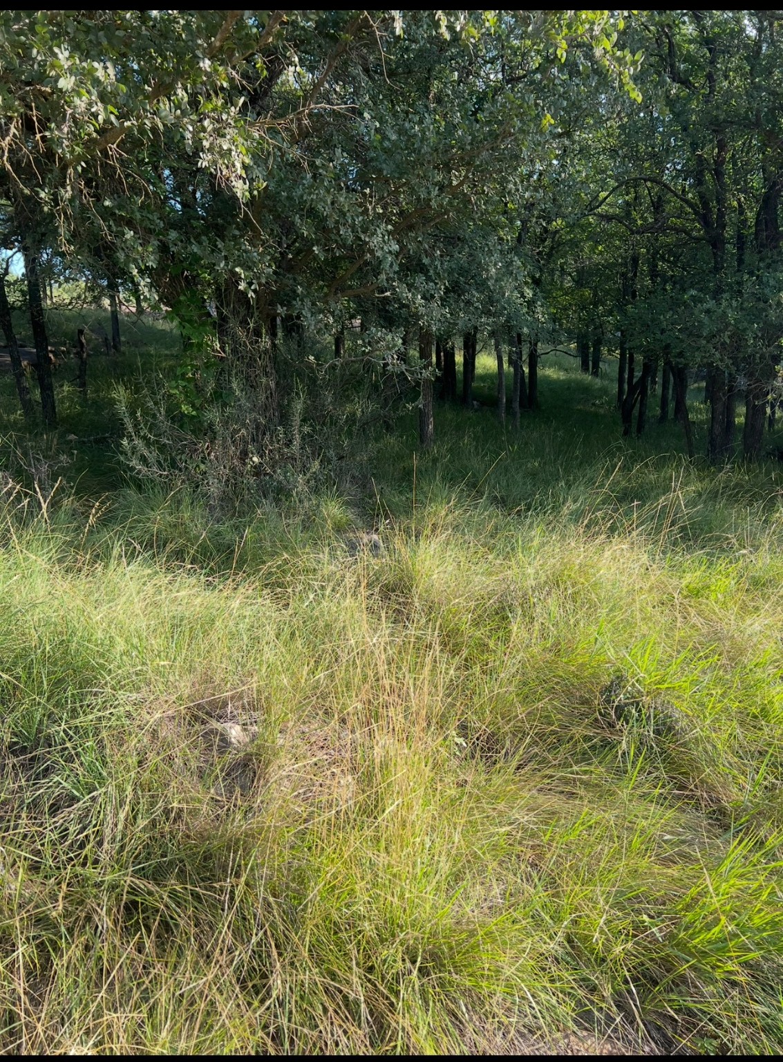Lot 914 Oak Point Drive May TX 76857