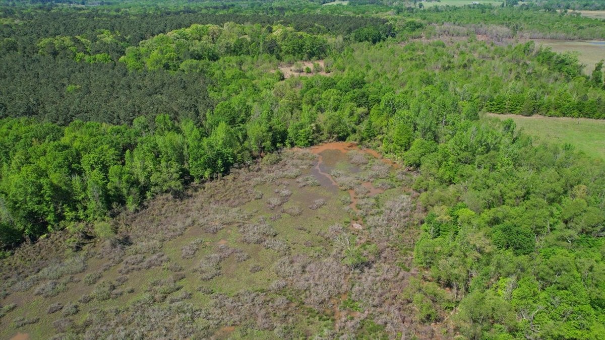 Tbd Cr 1143 Daingerfield TX 75638