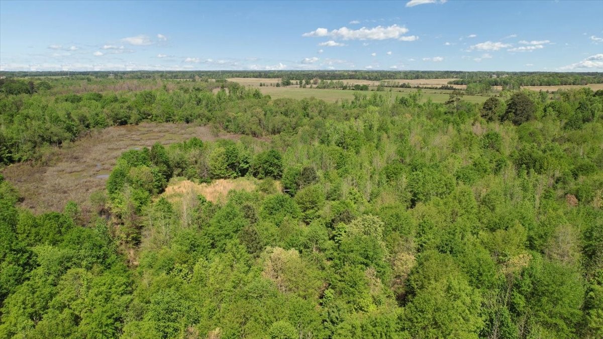 Tbd Cr 1143 Daingerfield TX 75638