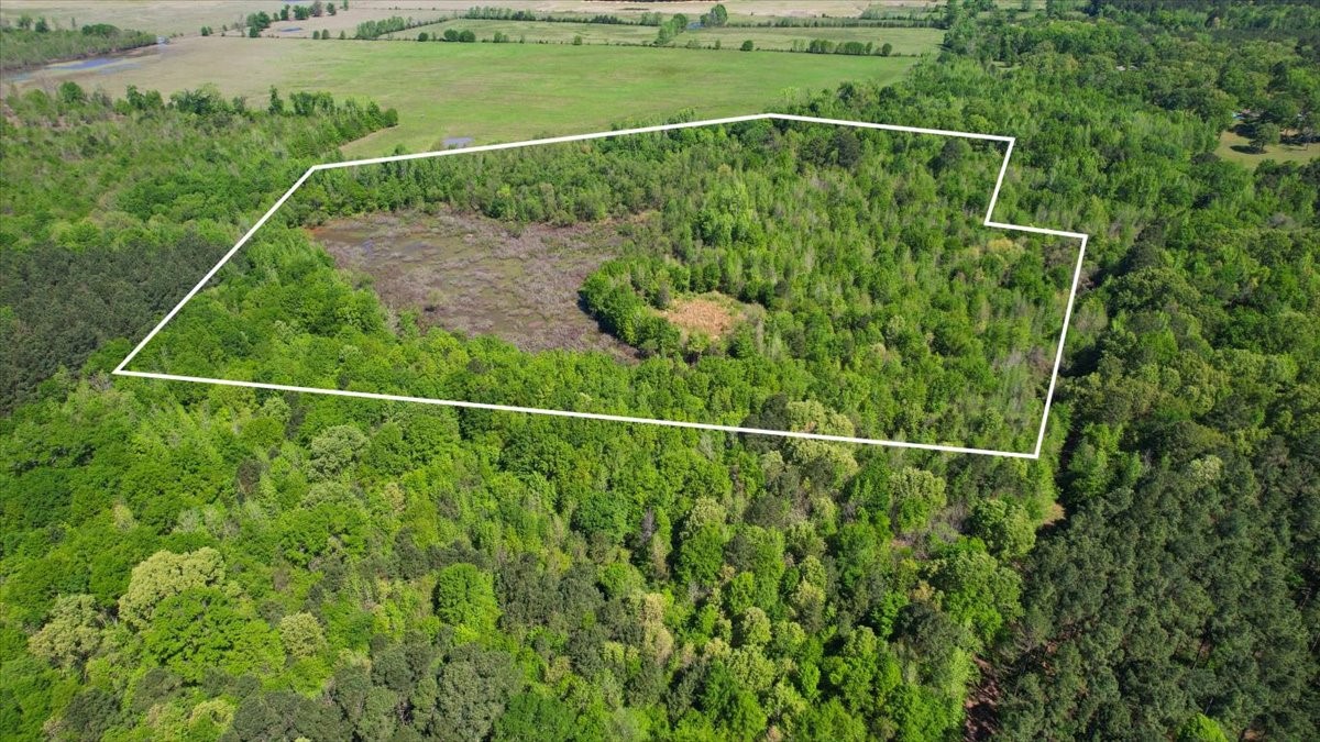 Tbd Cr 1143 Daingerfield TX 75638