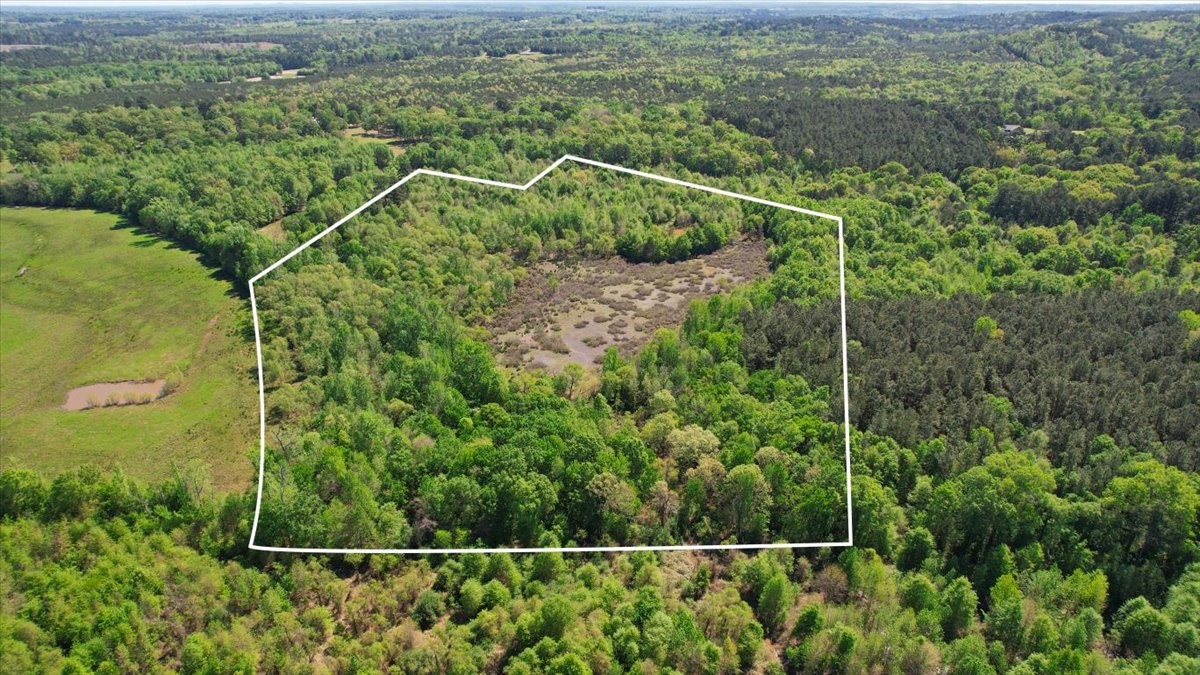 Tbd Cr 1143 Daingerfield TX 75638
