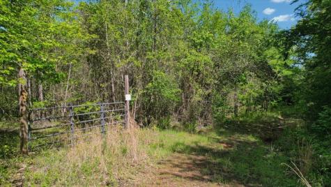 Tbd Cr 1143 Daingerfield TX 75638