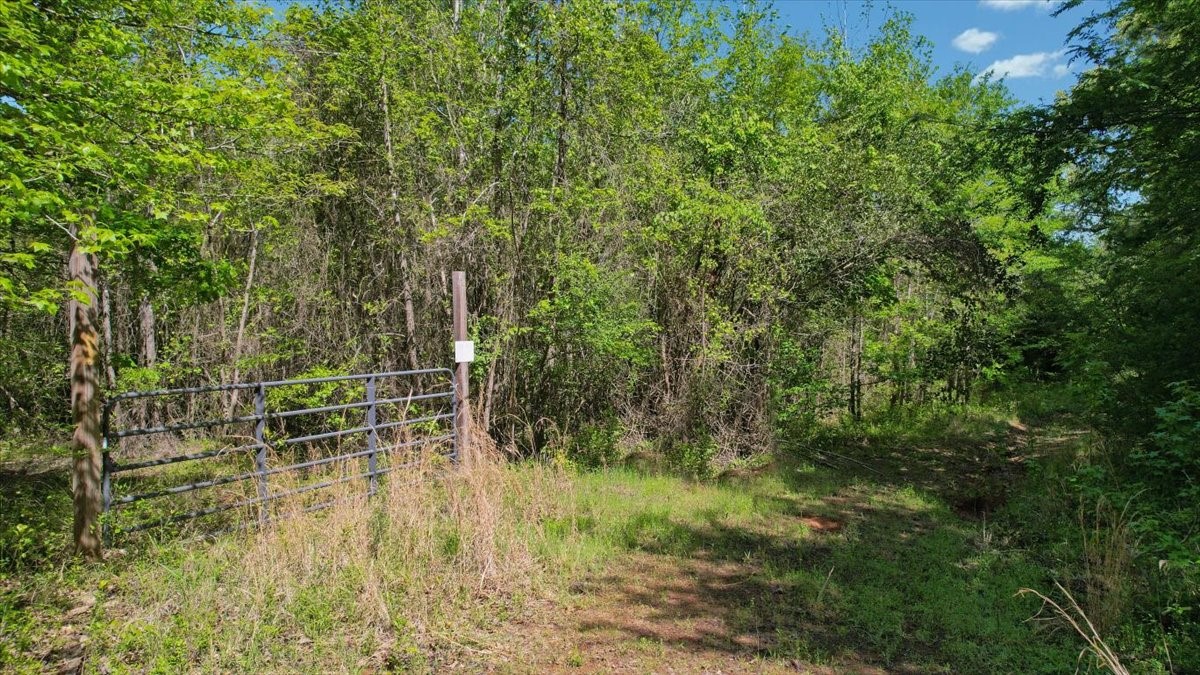 Tbd Cr 1143 Daingerfield TX 75638