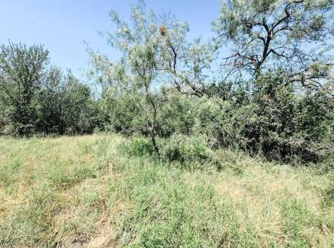 Lot 11 Morris Sheppard Drive Brownwood TX 76801