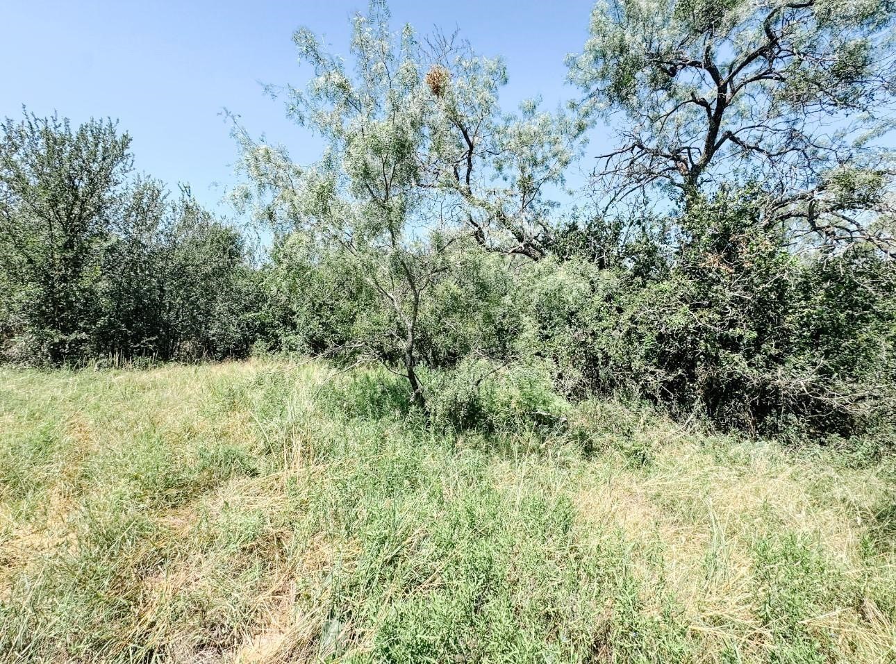 Lot 11 Morris Sheppard Drive Brownwood TX 76801