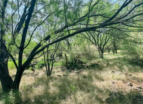 Lot 11 Morris Sheppard Drive Brownwood TX 76801