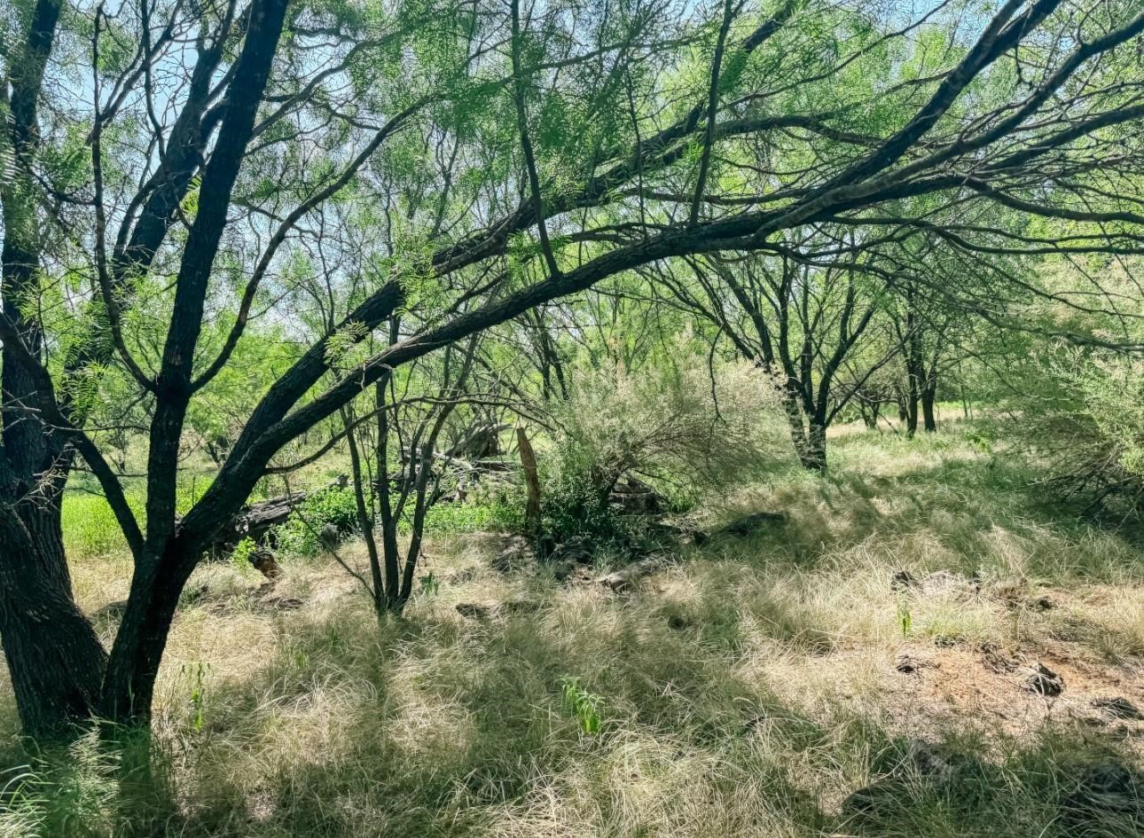 Lot 11 Morris Sheppard Drive Brownwood TX 76801