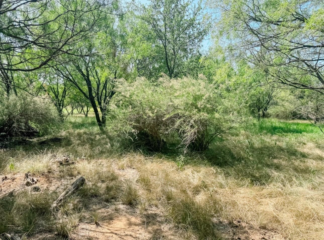 Lot 11 Morris Sheppard Drive Brownwood TX 76801