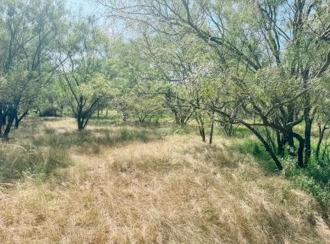 Lot 11 Morris Sheppard Drive Brownwood TX 76801