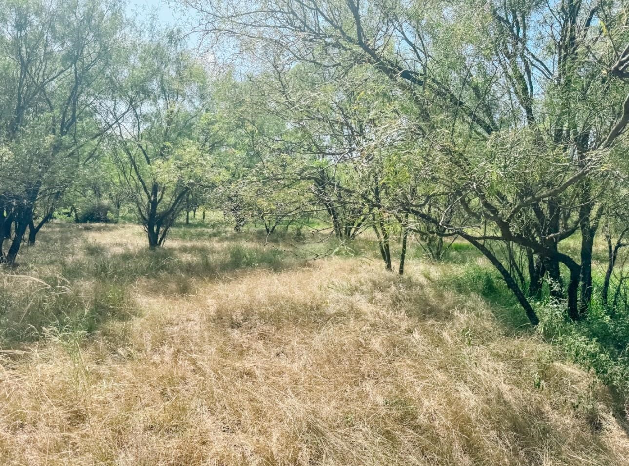Lot 11 Morris Sheppard Drive Brownwood TX 76801