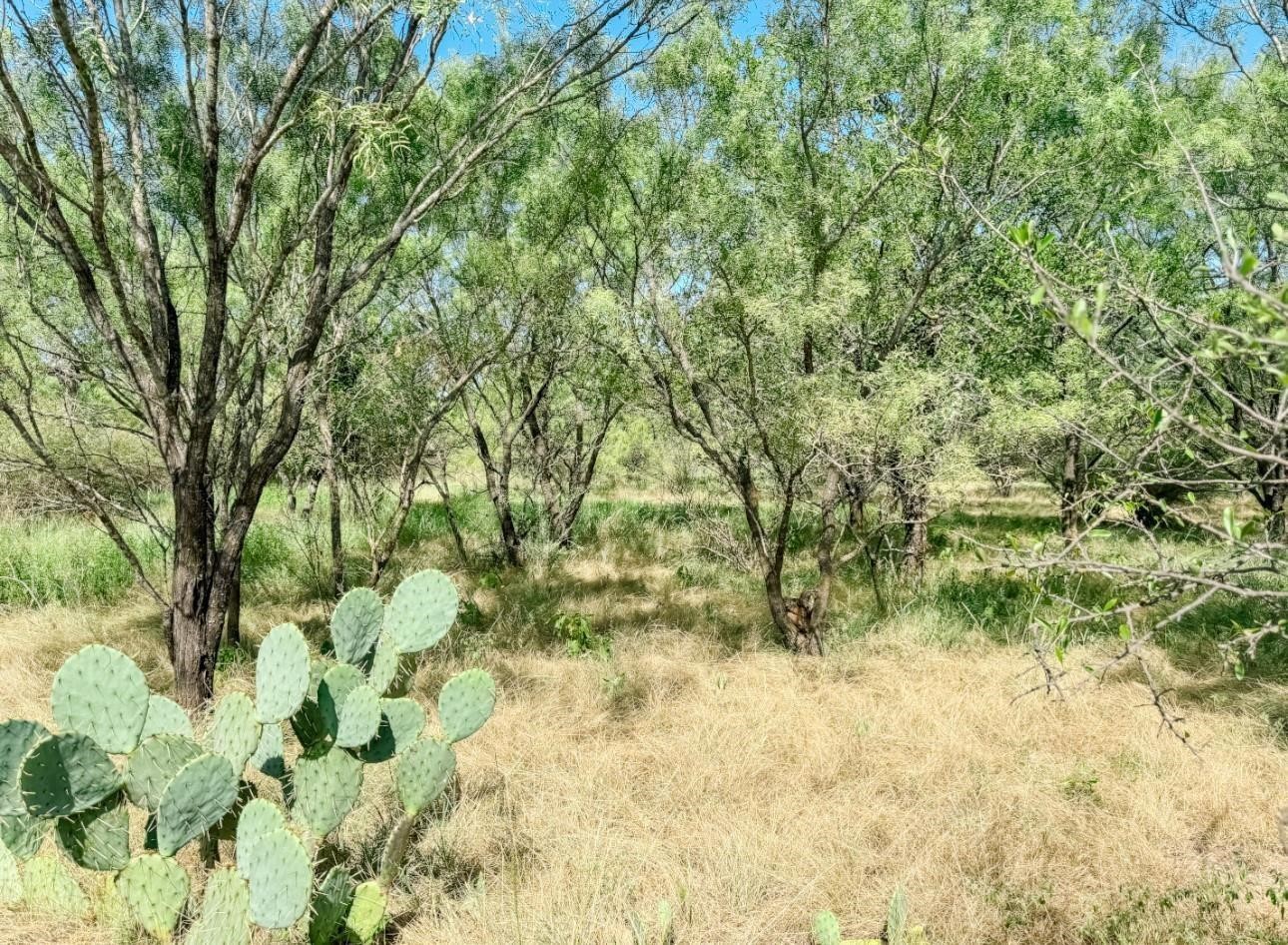 Lot 11 Morris Sheppard Drive Brownwood TX 76801