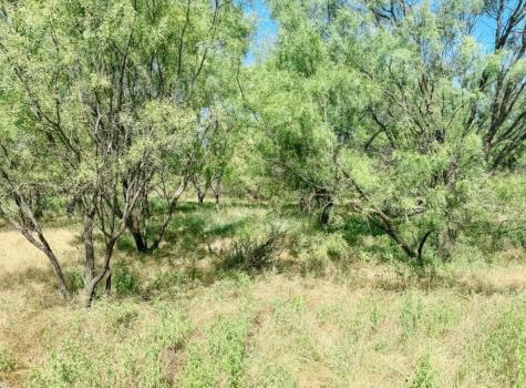 Lot 11 Morris Sheppard Drive Brownwood TX 76801