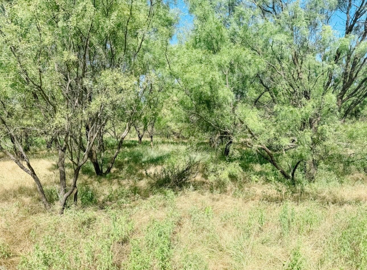 Lot 11 Morris Sheppard Drive Brownwood TX 76801
