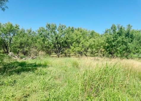 Lot 11 Morris Sheppard Drive Brownwood TX 76801