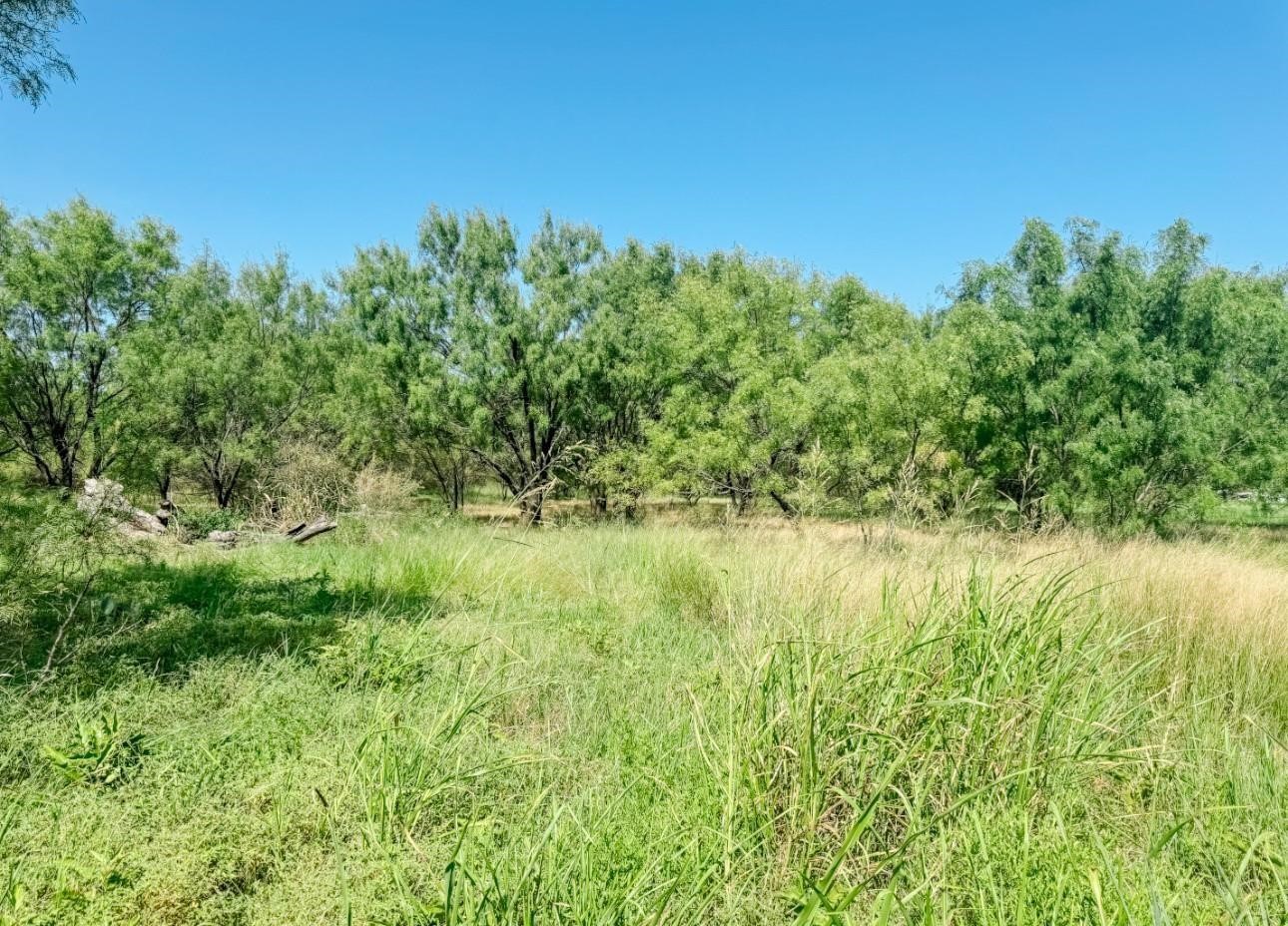 Lot 11 Morris Sheppard Drive Brownwood TX 76801