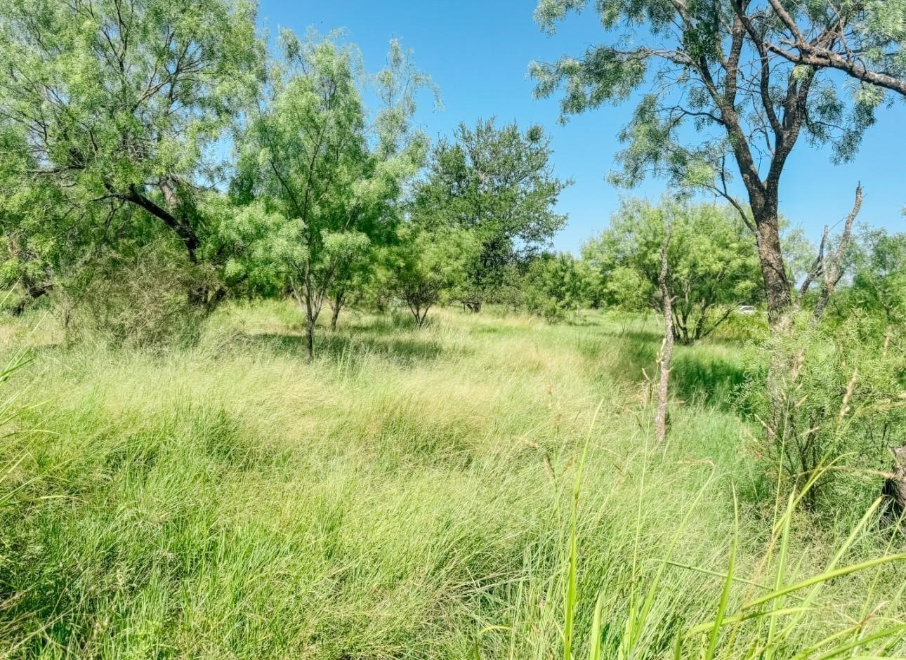 Lot 11 Morris Sheppard Drive Brownwood TX 76801