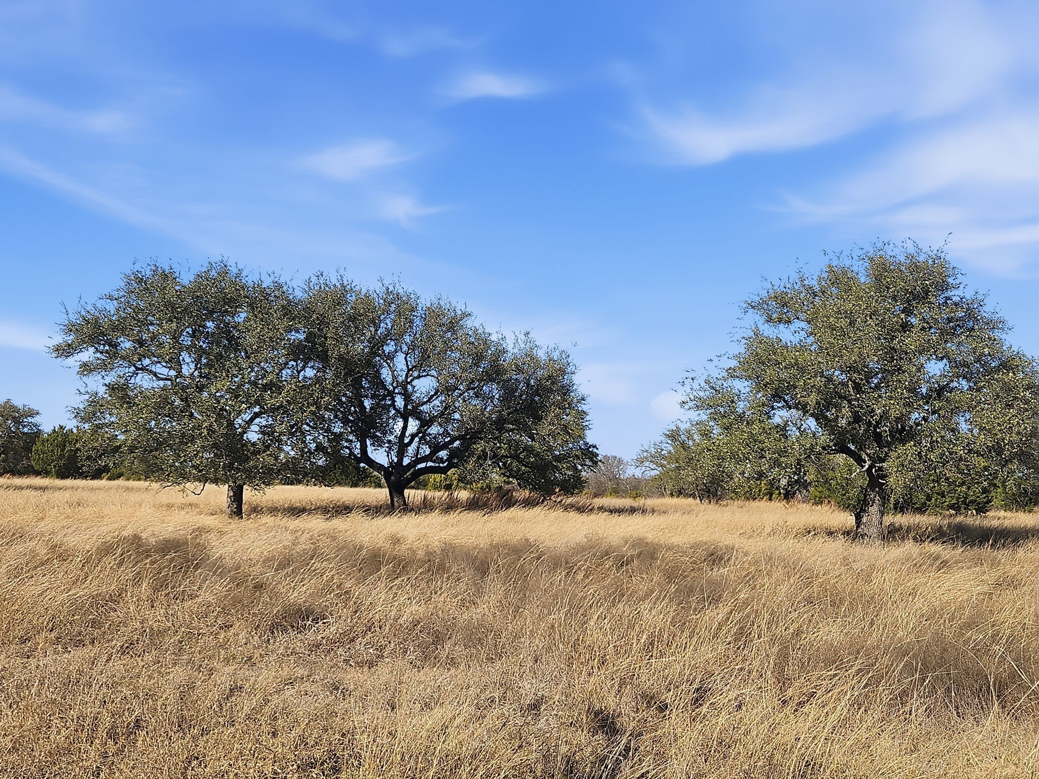 519.23 Acres County Road 530a Evant TX 76525
