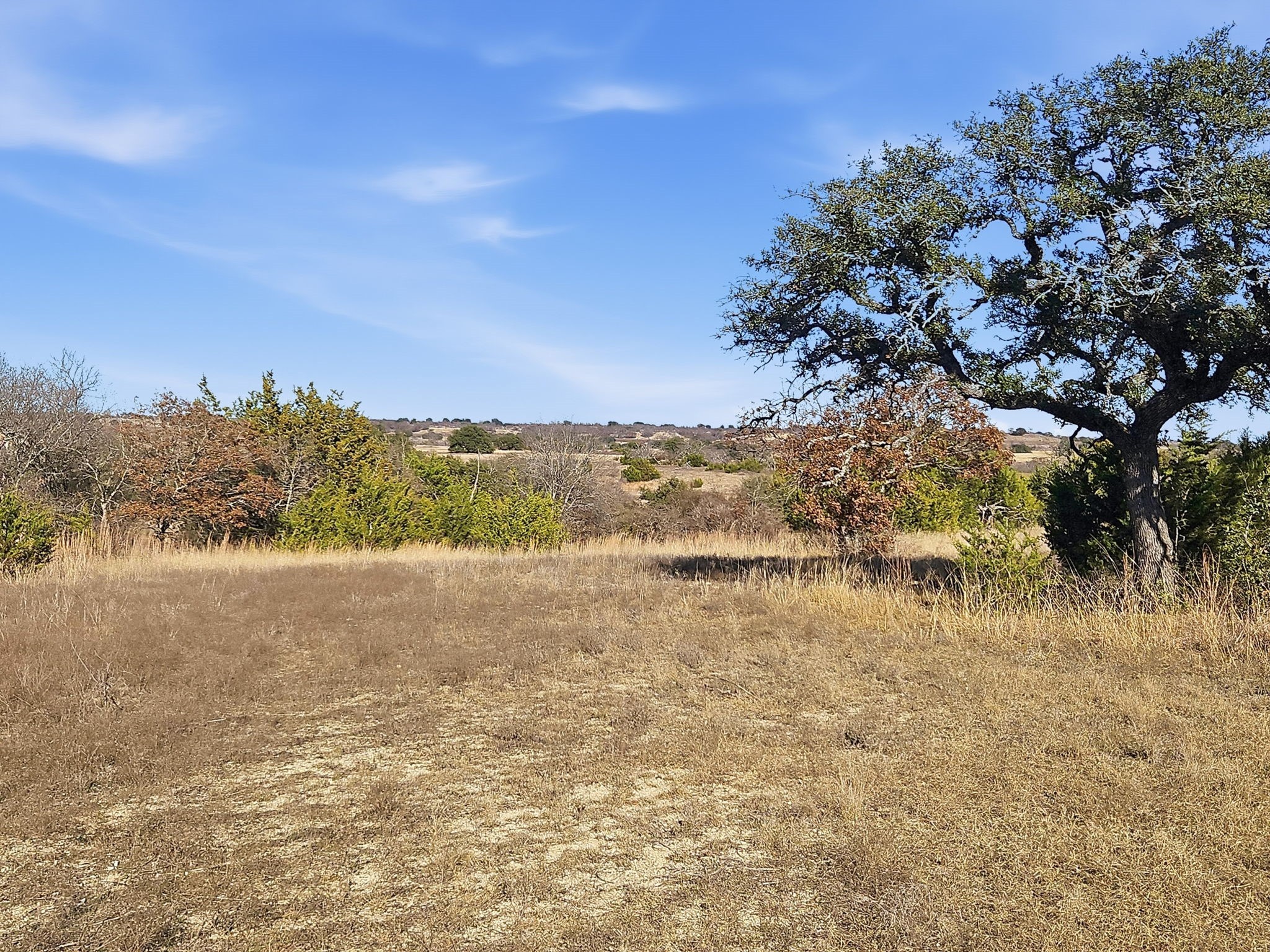 519.23 Acres County Road 530a Evant TX 76525