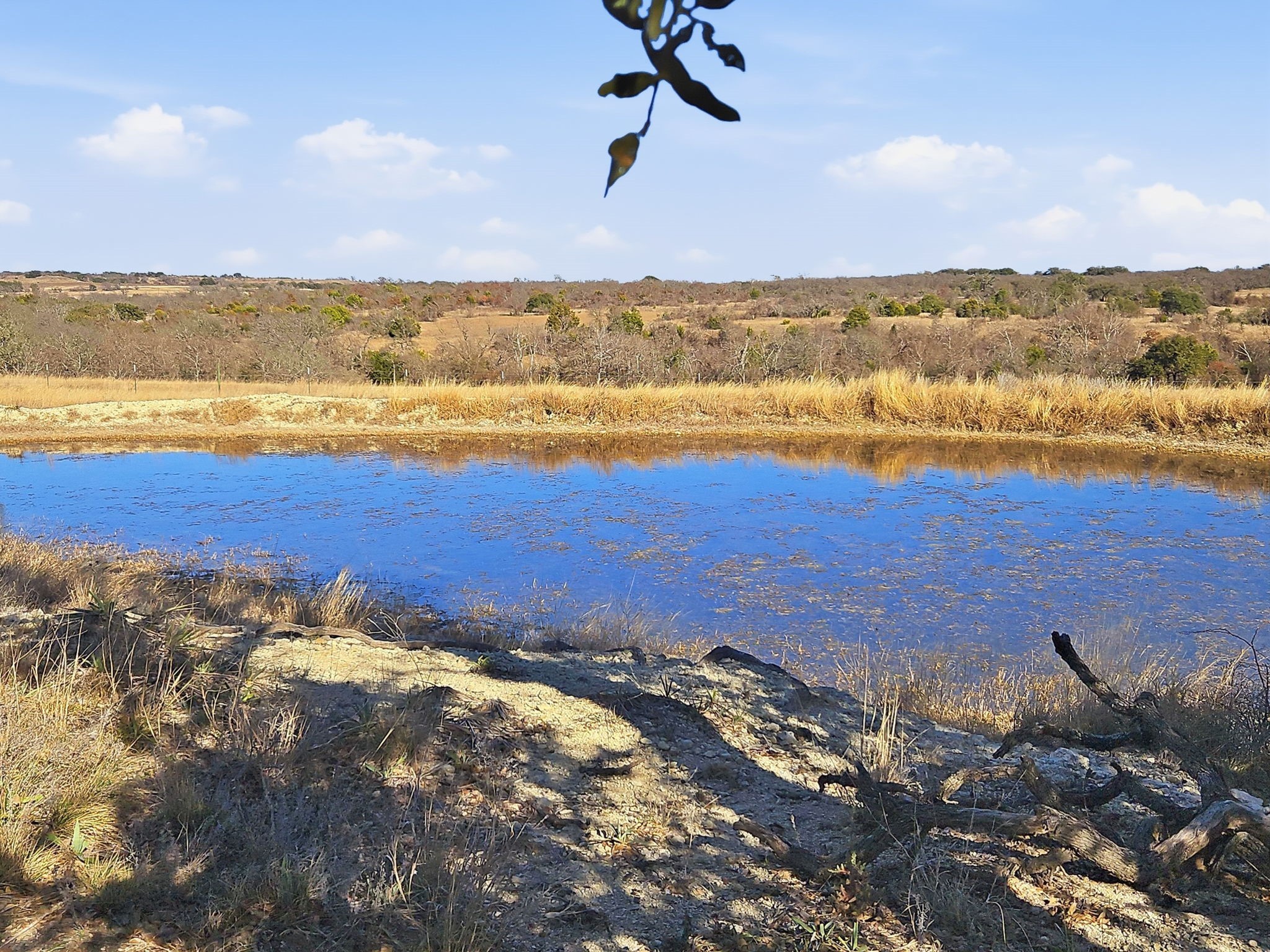 519.23 Acres County Road 530a Evant TX 76525