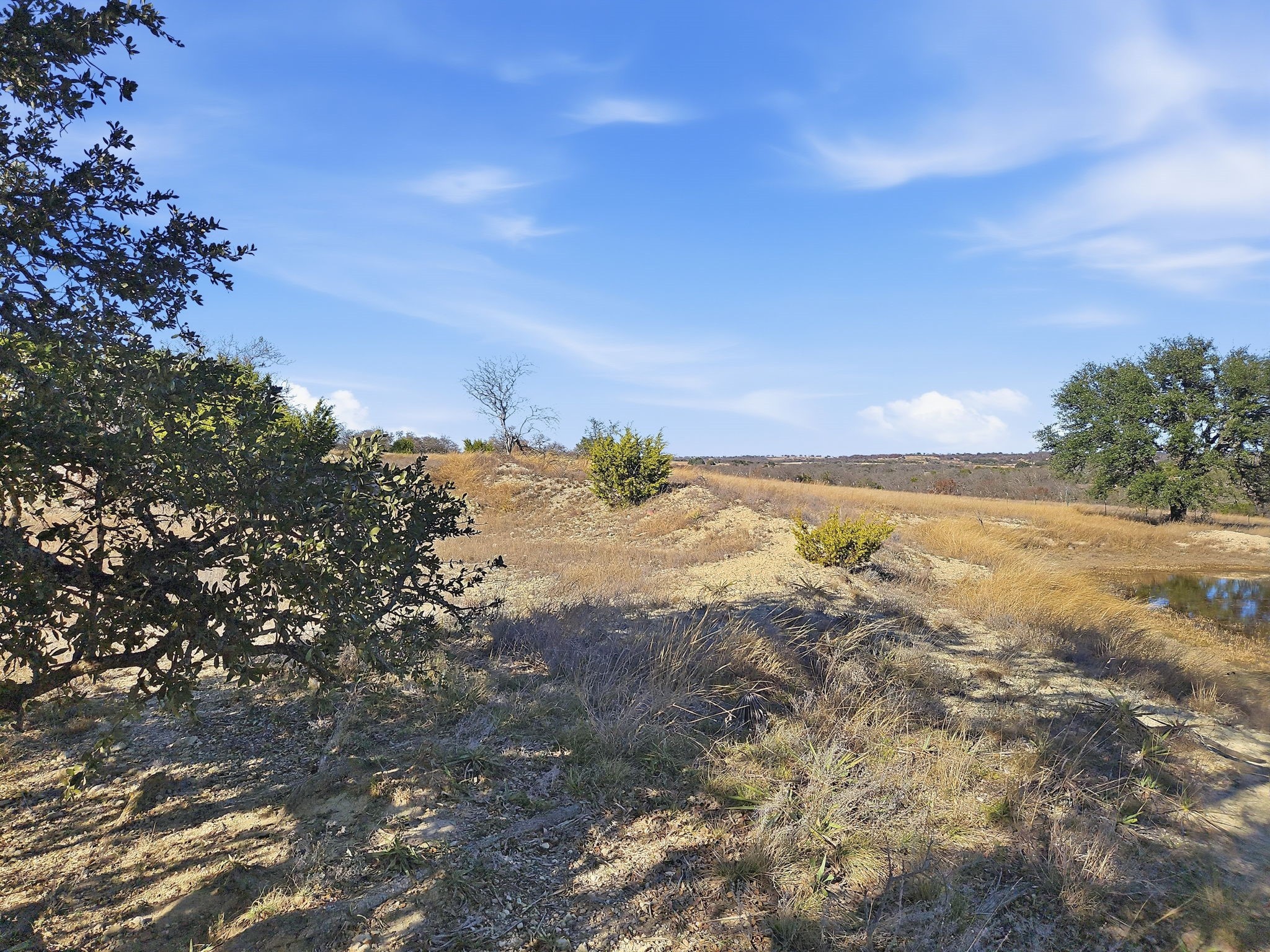 519.23 Acres County Road 530a Evant TX 76525