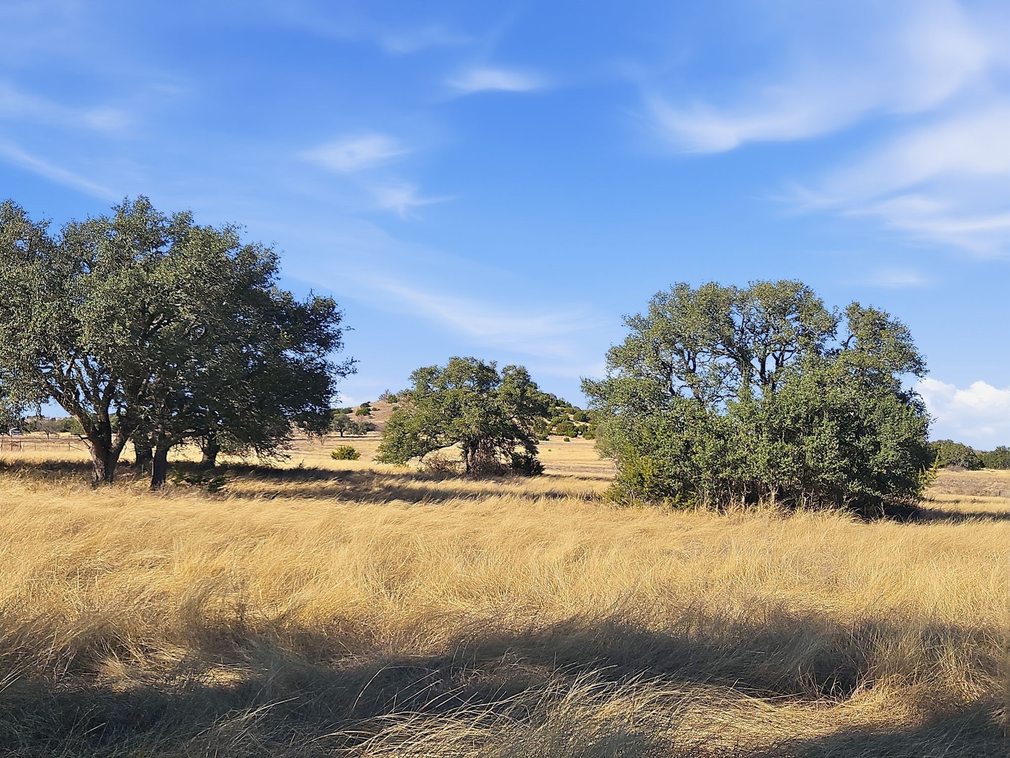 519.23 Acres County Road 530a Evant TX 76525