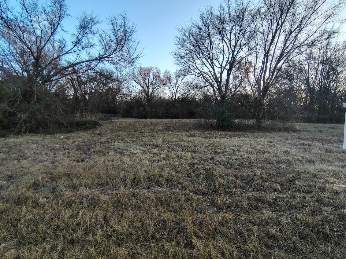 16D Whitefoot Quitman TX 75783