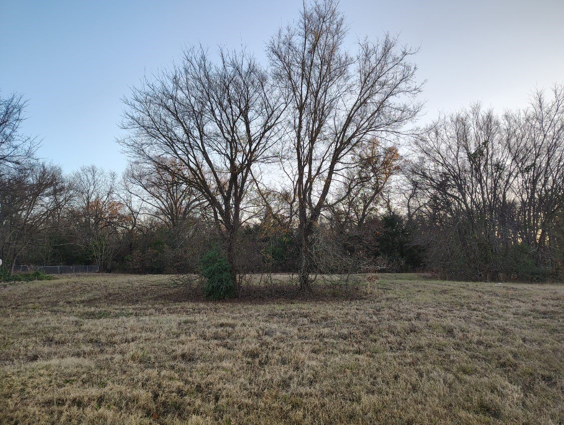 16D Whitefoot Quitman TX 75783