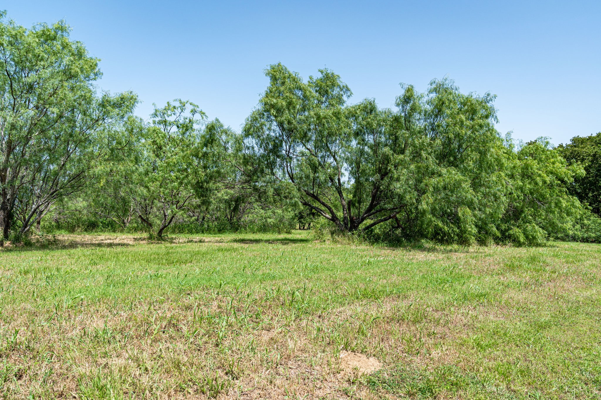 Lot 2 Admiral Shores Drive Streetman TX 75859
