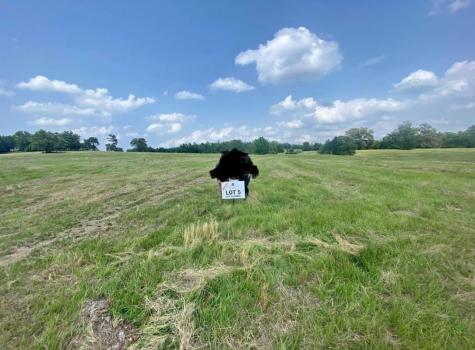 Lot 5 Private Road Big Sandy TX 75755