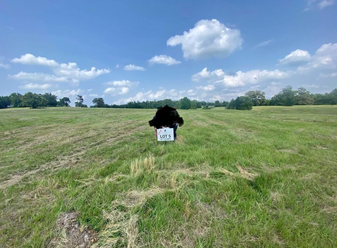 Lot #5 Private Road Big Sandy TX 75755
