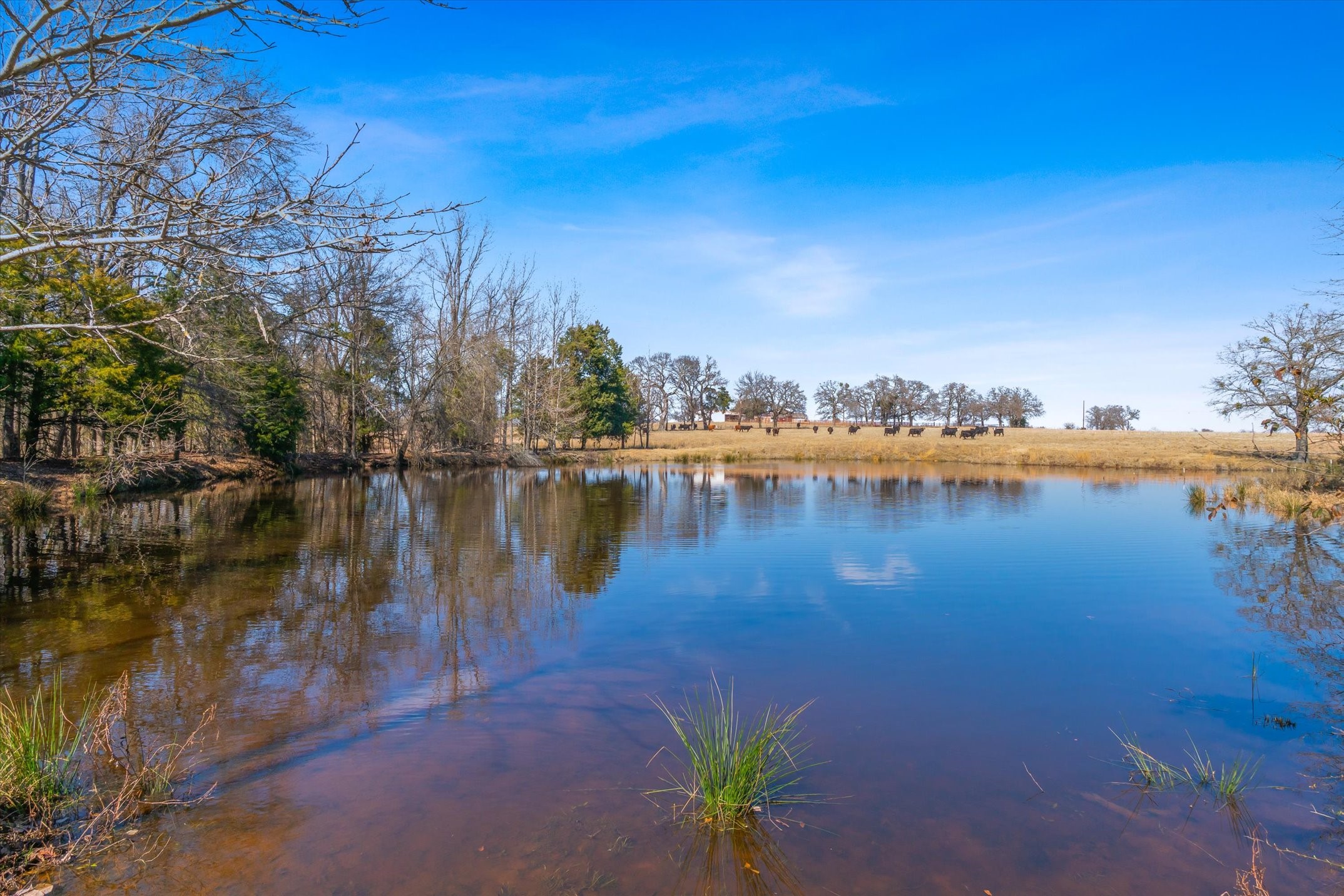 Tbd Vz County Road 2317 Tract 6 Canton TX 75103