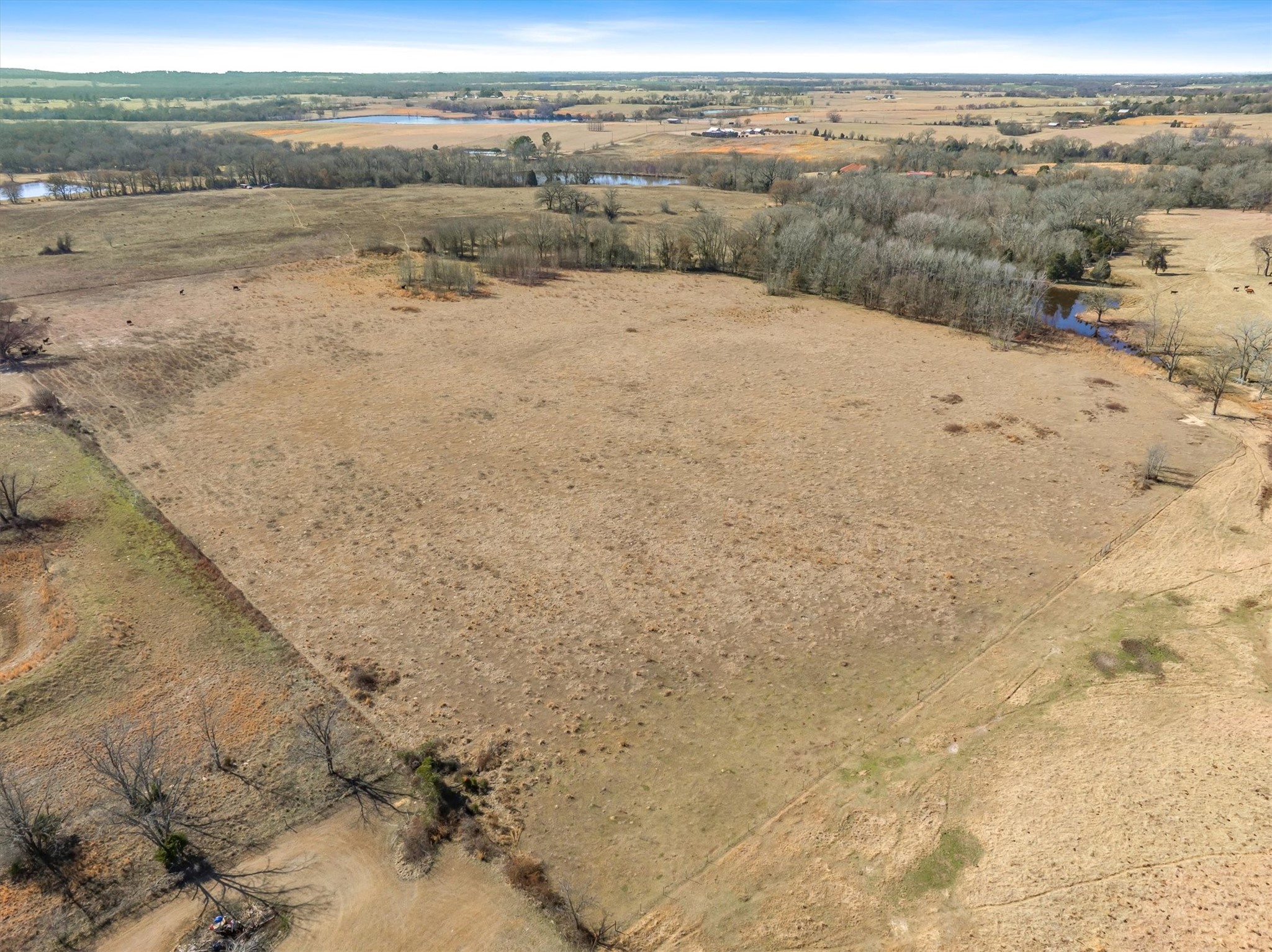 Tbd Vz County Road 2317 Tract 6 Canton TX 75103