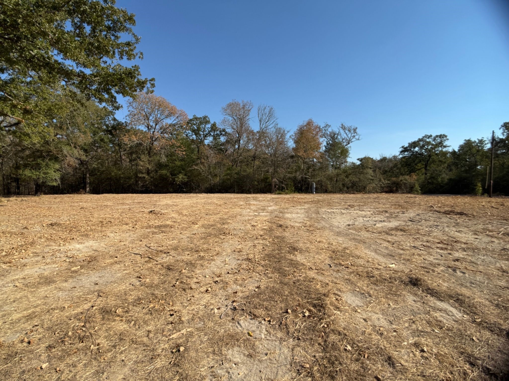 12047 County Road 414 Somerville TX 77879