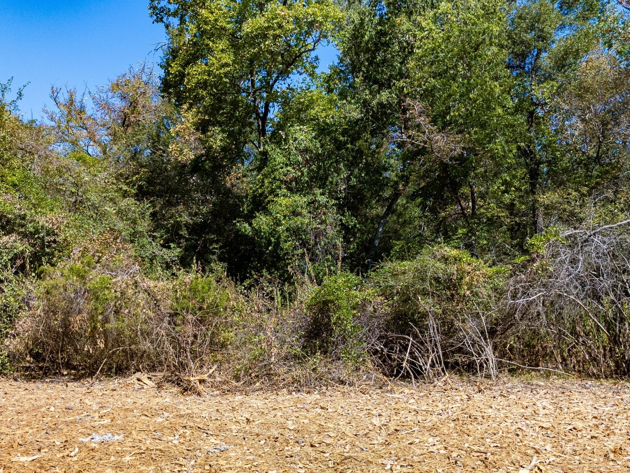 12047 County Road 414 Somerville TX 77879