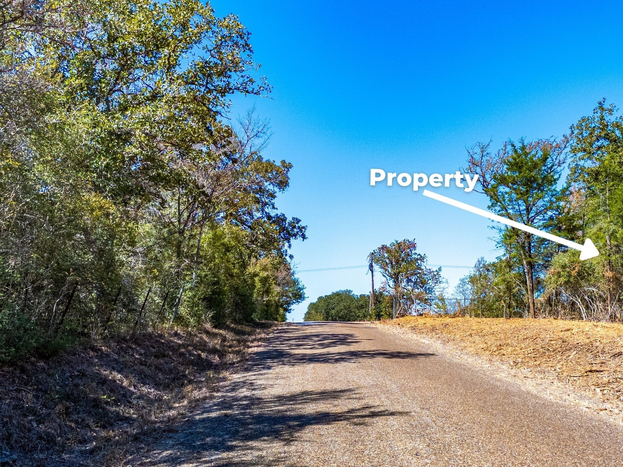 12047 County Road 414 Somerville TX 77879