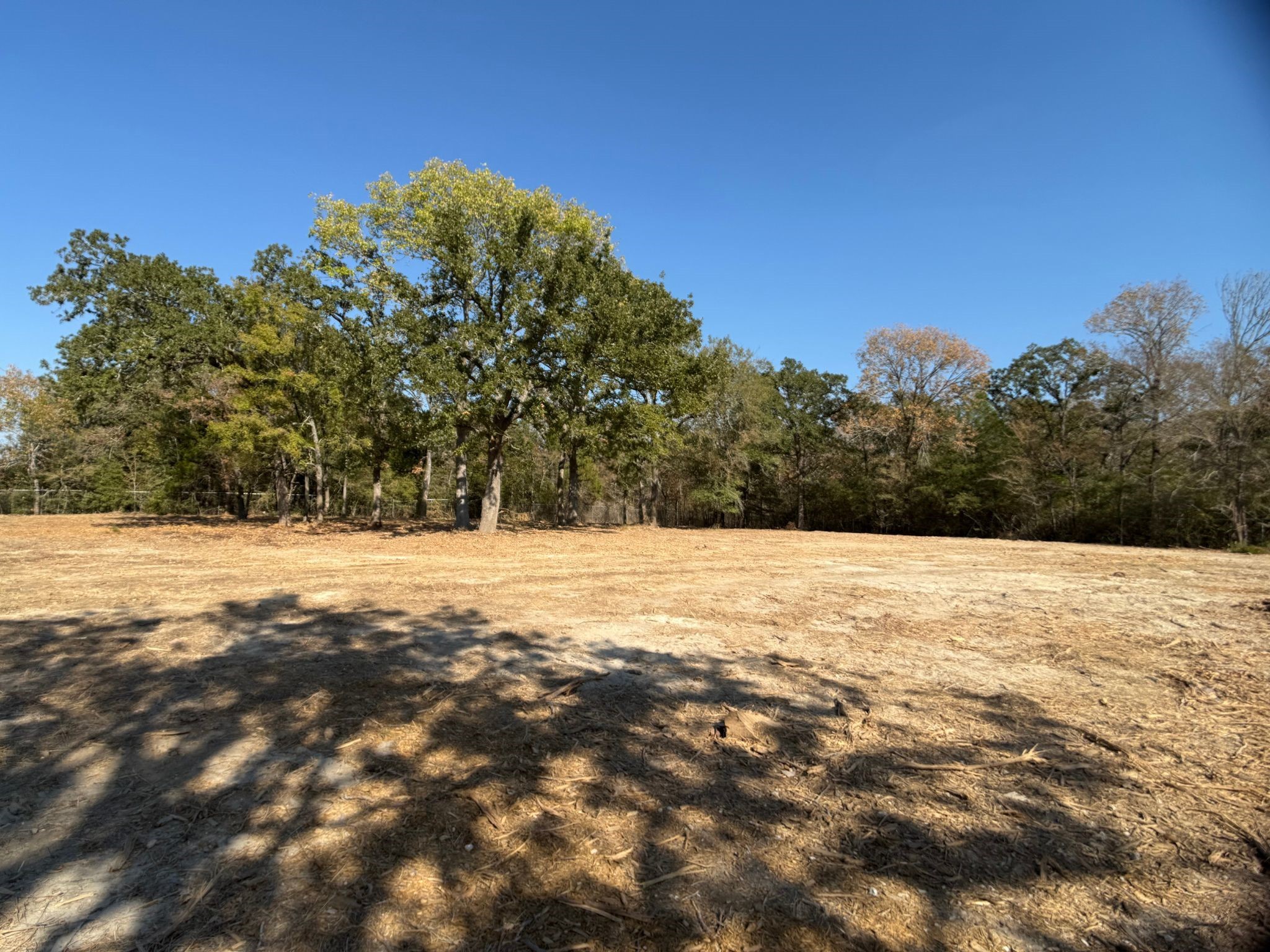 12047 County Road 414 Somerville TX 77879