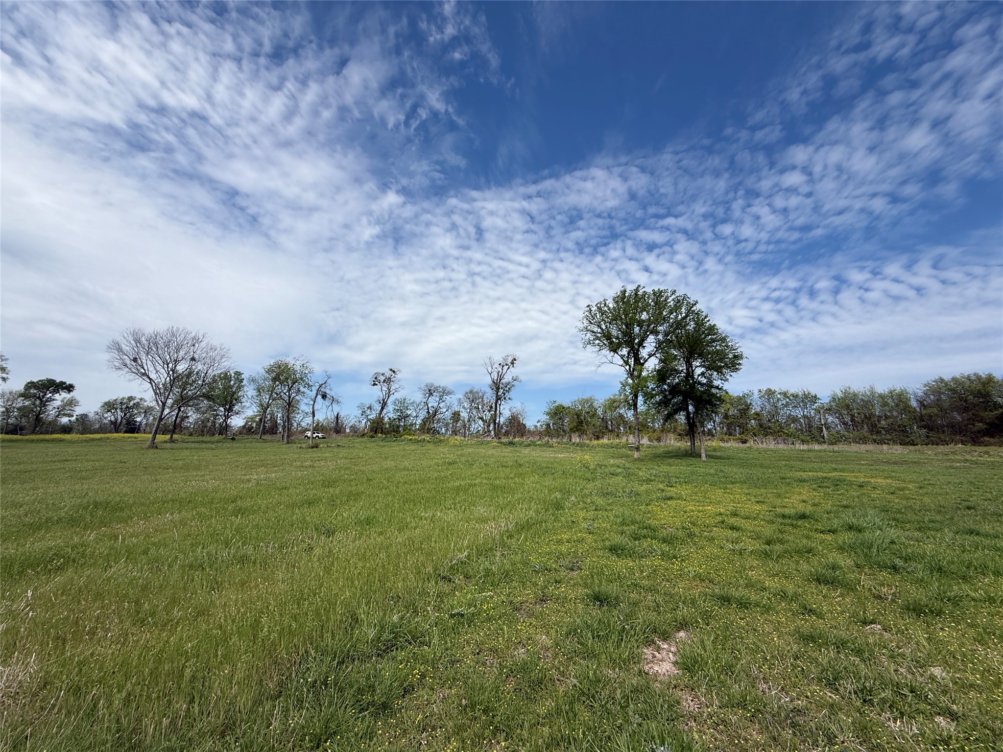 Lot 47 Bridgewater Boulevard Kerens TX 75144