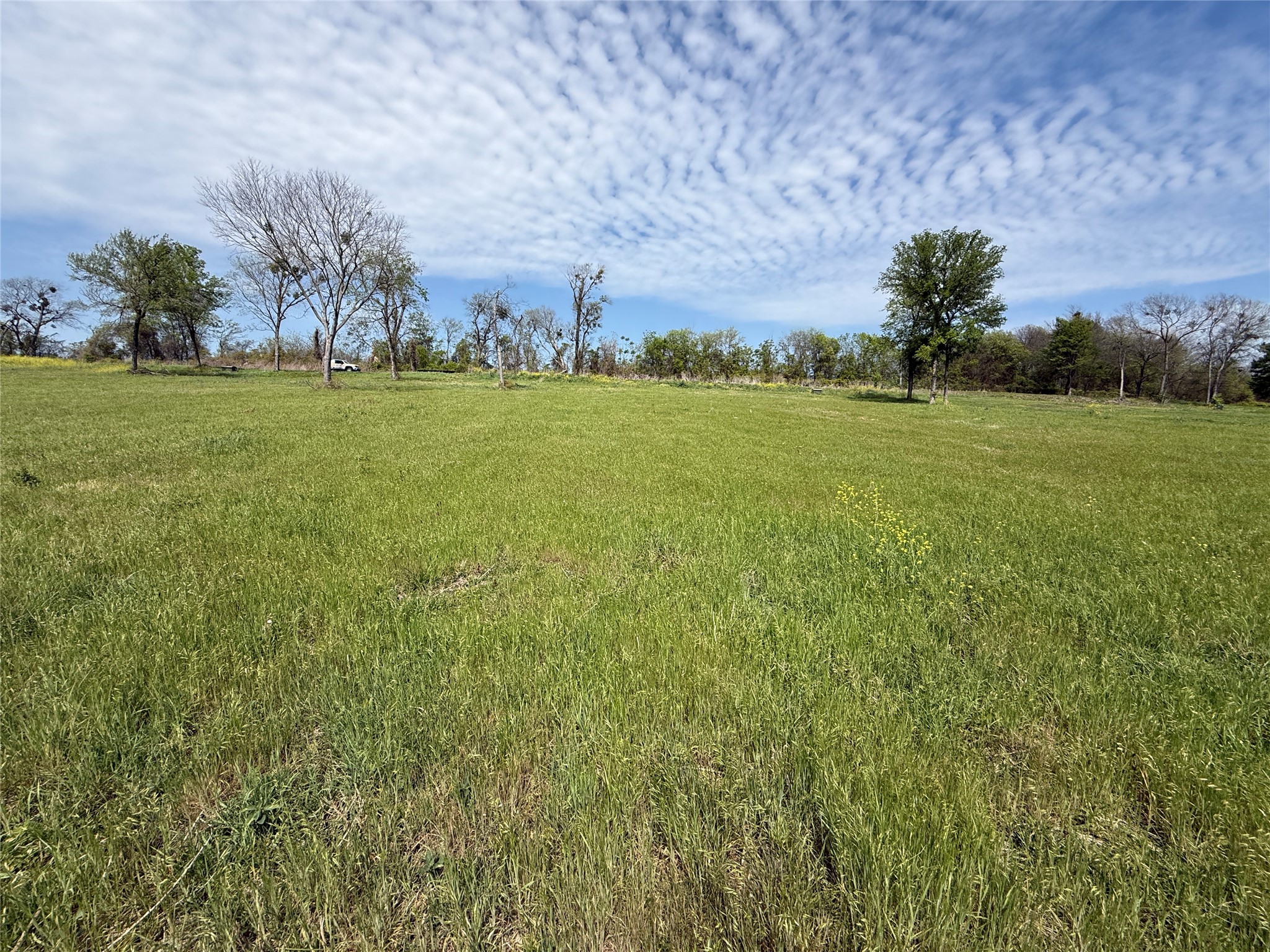 Lot 47 Bridgewater Boulevard Kerens TX 75144