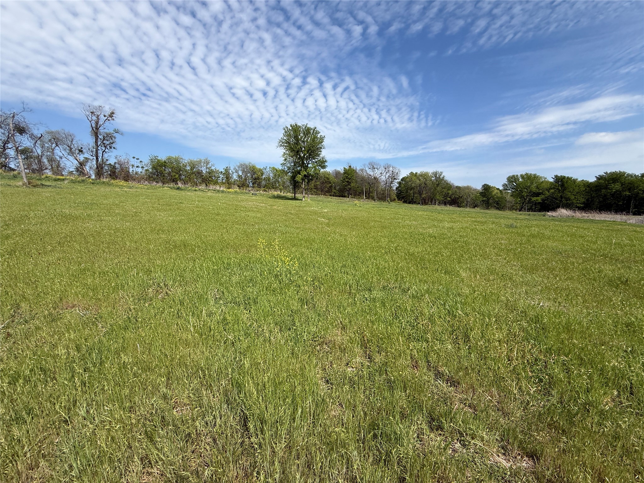Lot 47 Bridgewater Boulevard Kerens TX 75144
