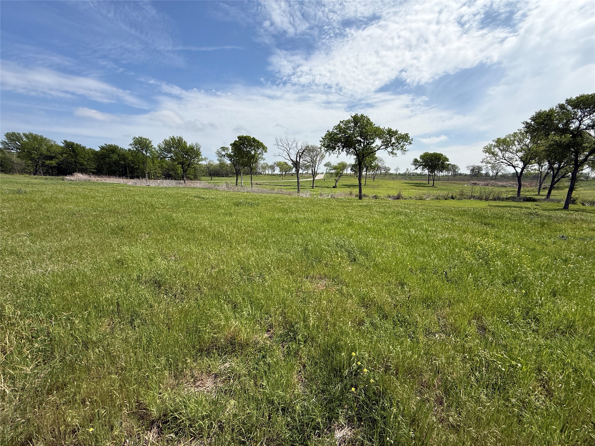 Lot 47 Bridgewater Boulevard Kerens TX 75144