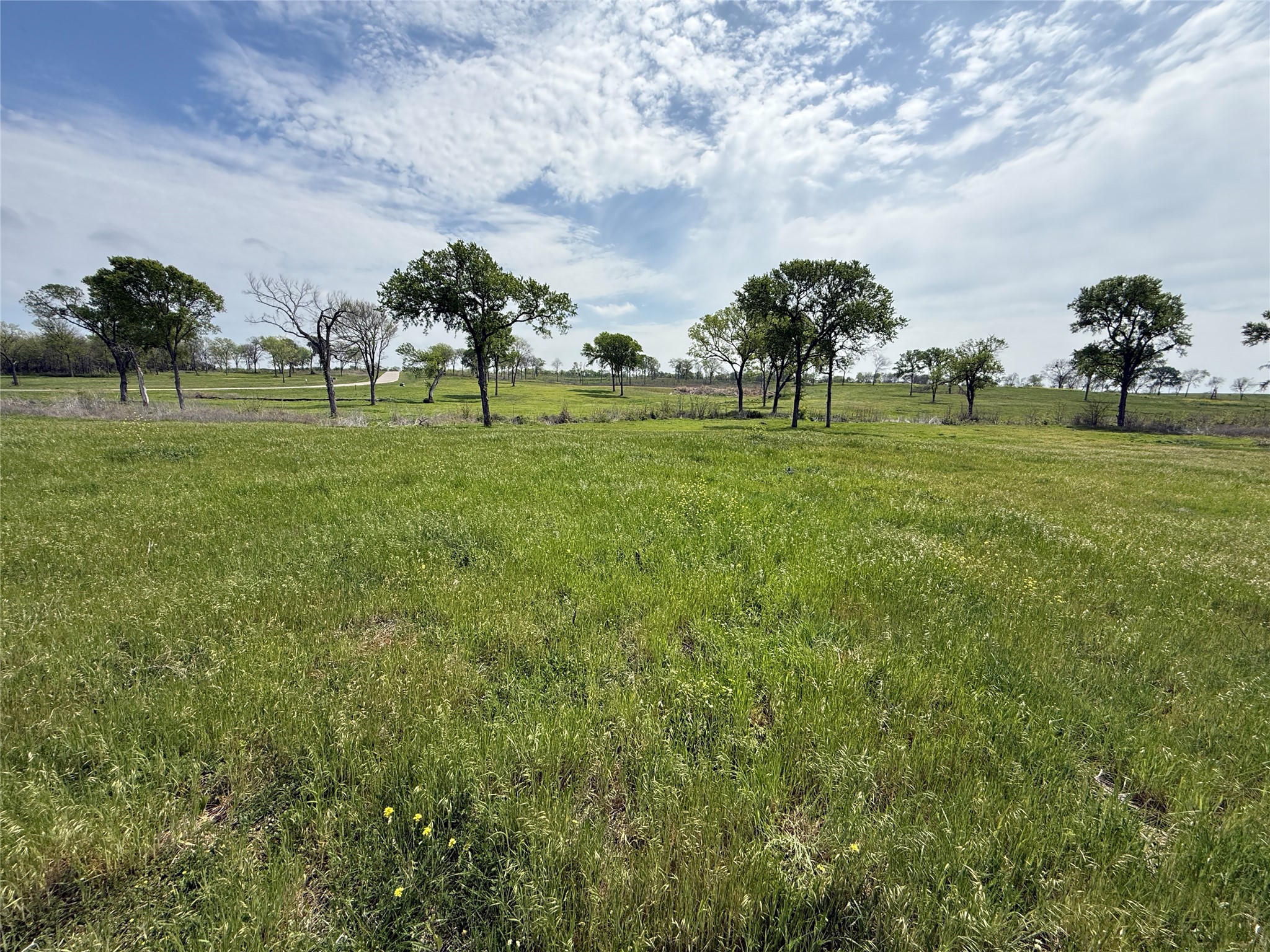Lot 47 Bridgewater Boulevard Kerens TX 75144