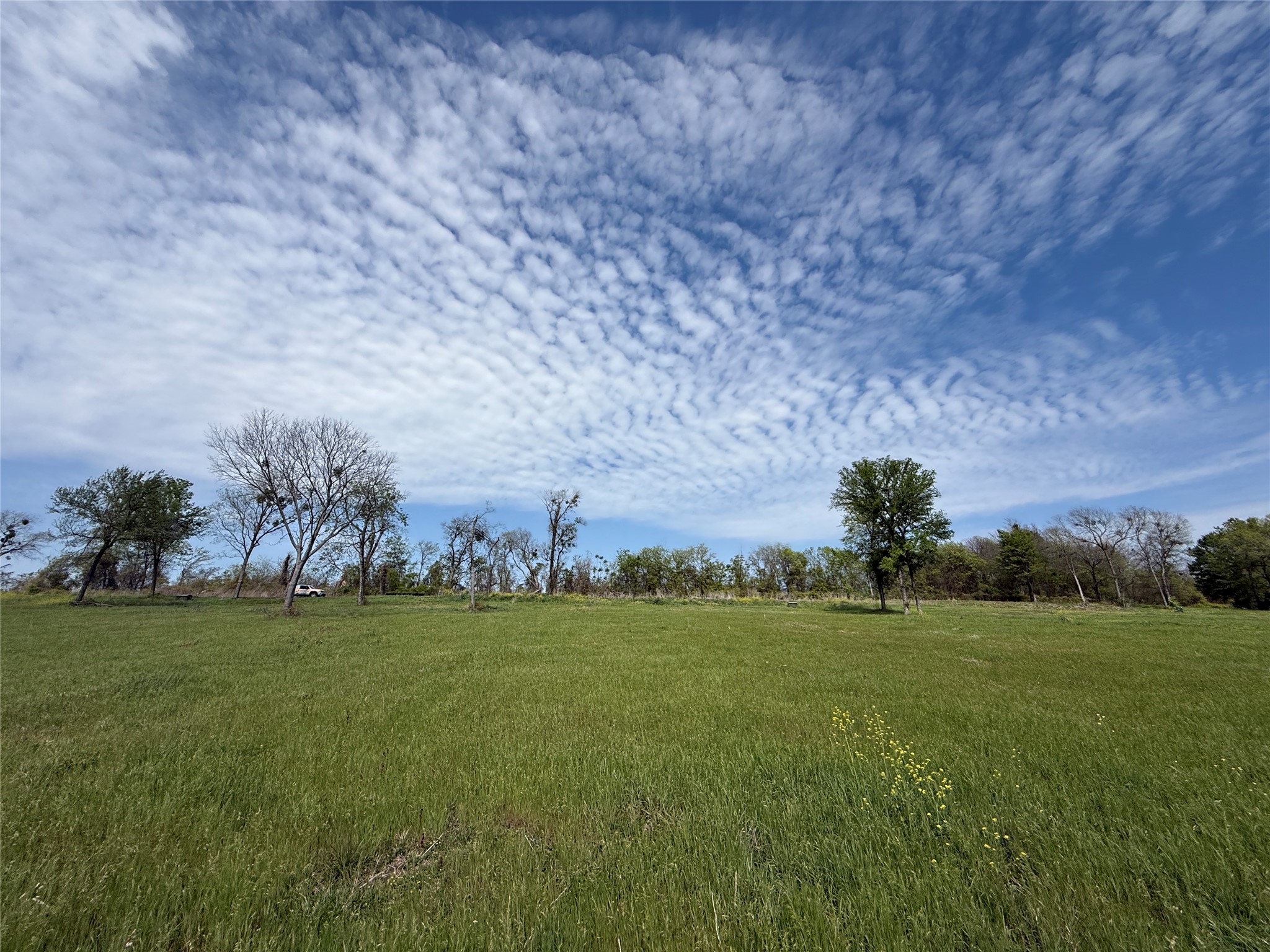 Lot 47 Bridgewater Boulevard Kerens TX 75144