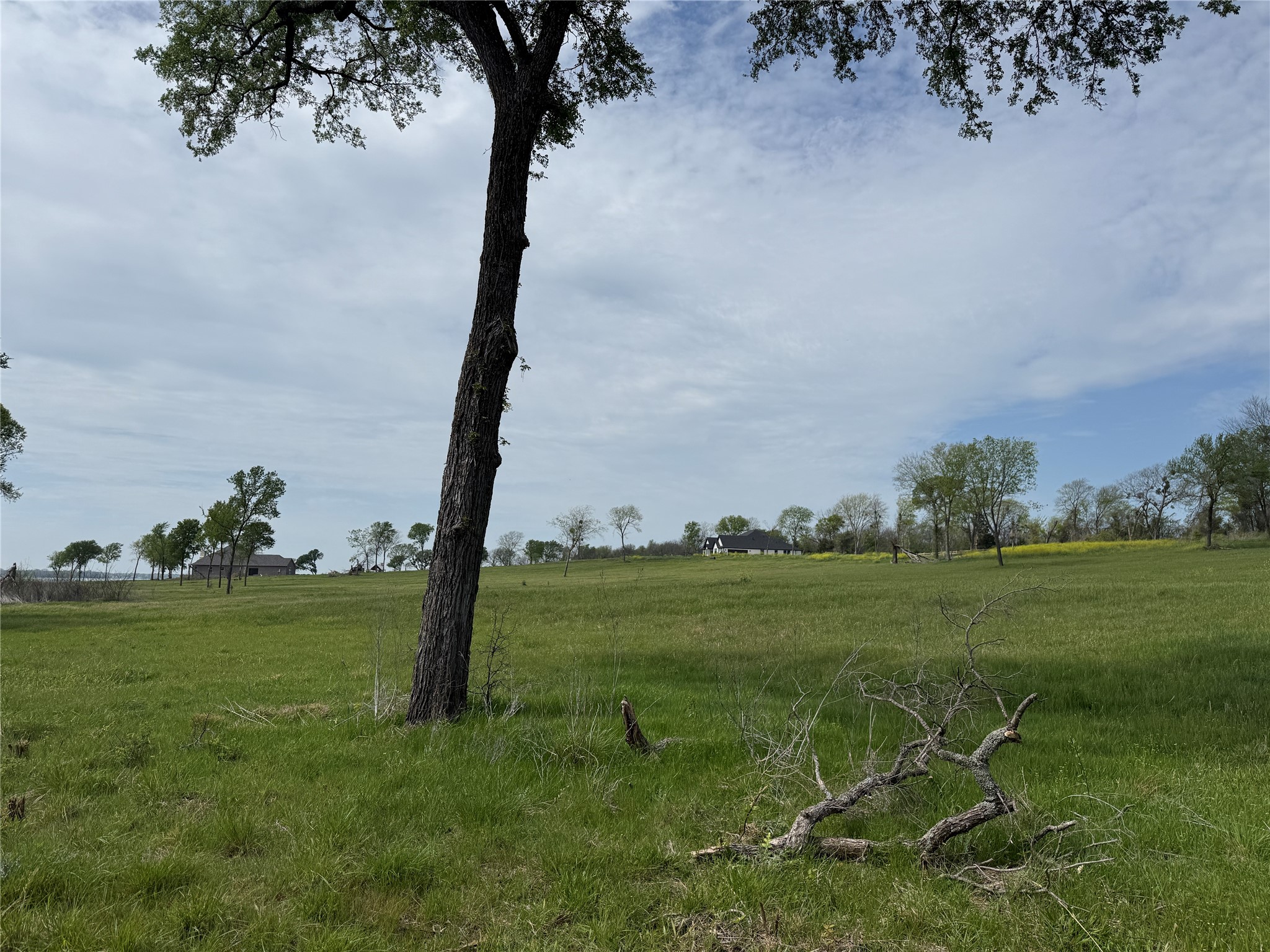 Lot 47 Bridgewater Boulevard Kerens TX 75144