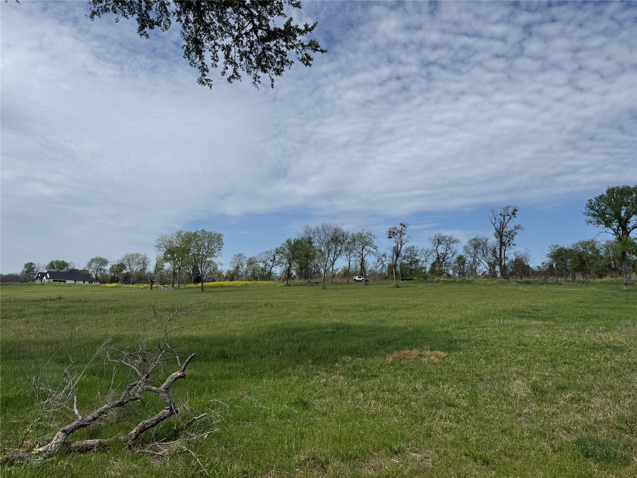 Lot 47 Bridgewater Boulevard Kerens TX 75144