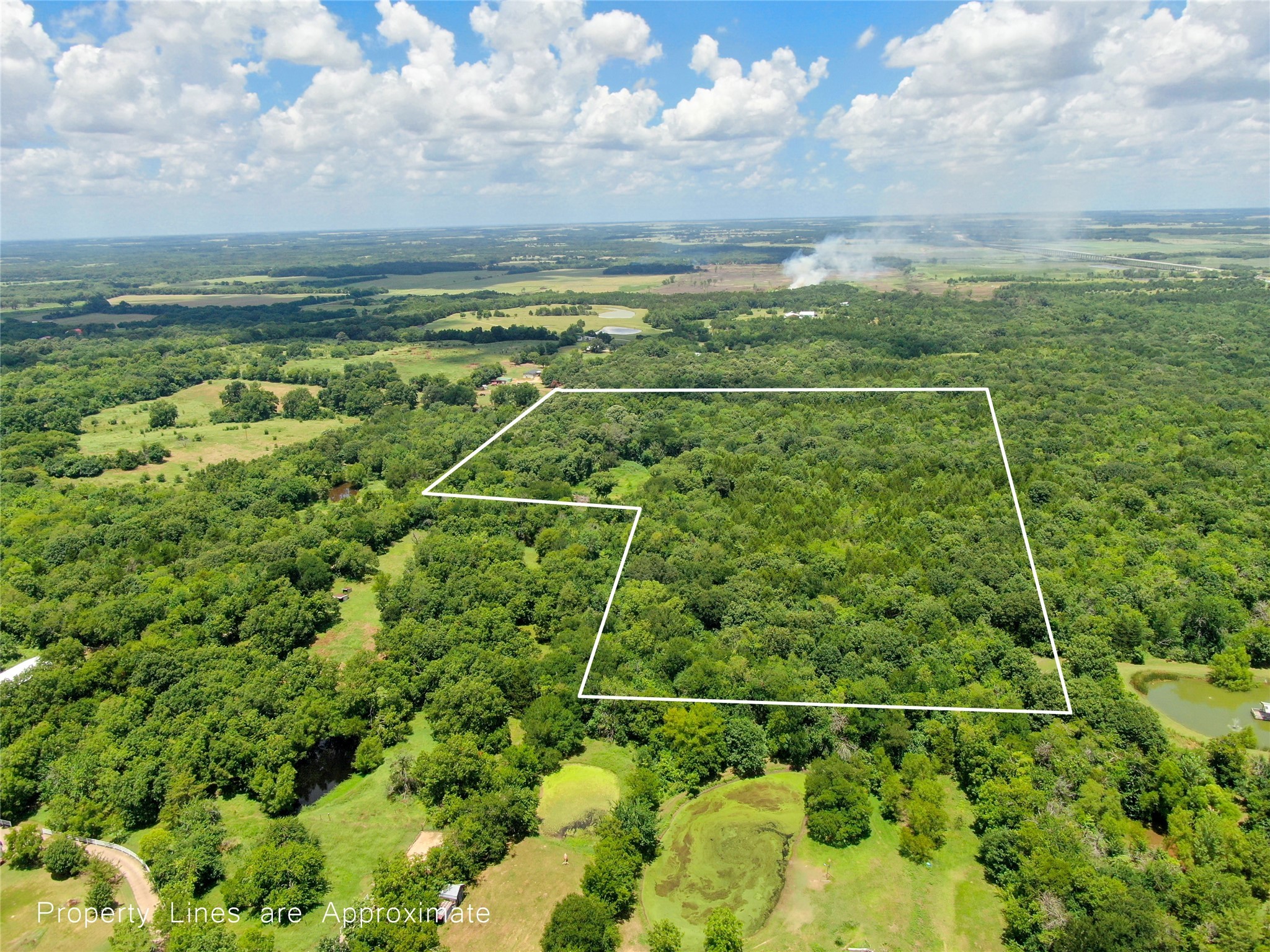 Tbd Shelby Lane Ladonia TX 75449